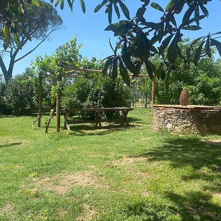 Agriturismo La Concia Giuncarico ภายนอก รูปภาพ